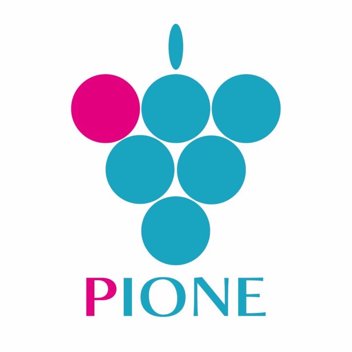 pionegroup